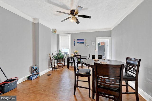 dining space featuring light hardwood / wood-style floors, a textured ceiling, and ceiling fan