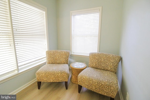 sitting room with wood-type flooring