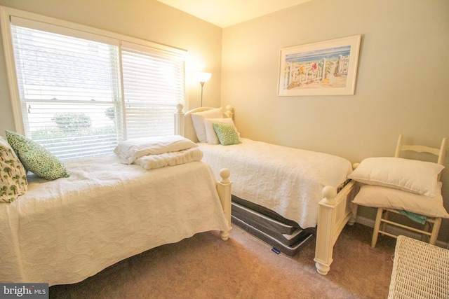 bedroom with carpet flooring