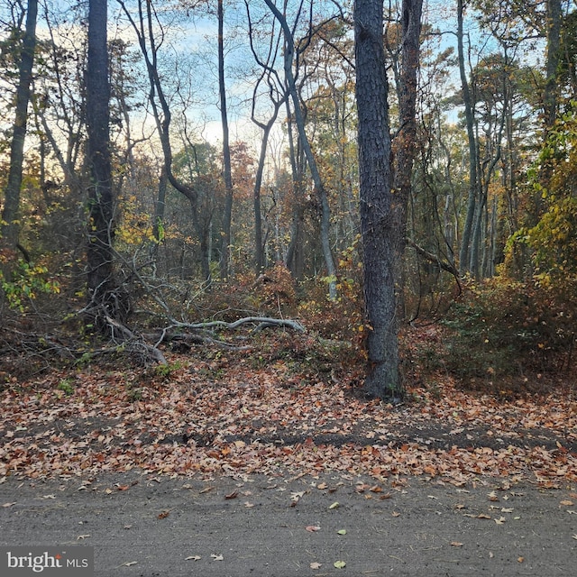 00 Avenue E, Bayville, NJ 08721