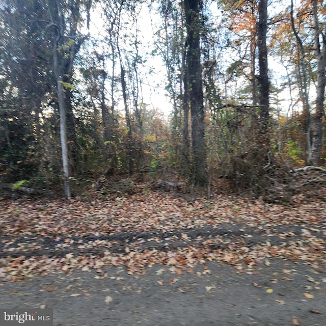 00 Avenue E, Bayville, NJ 08721