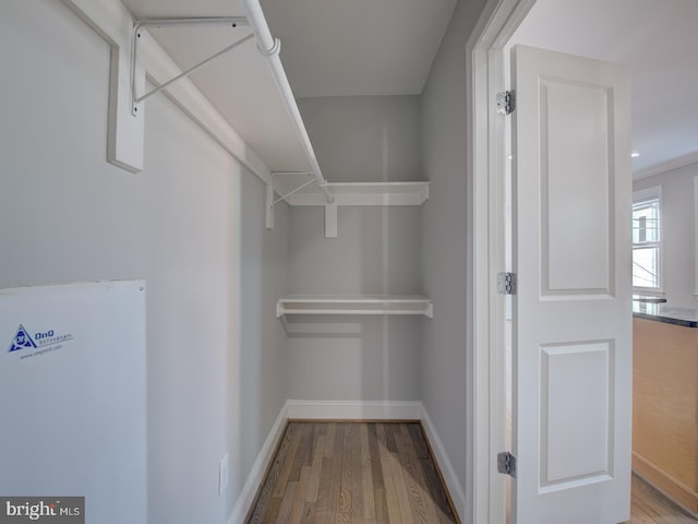 spacious closet with hardwood / wood-style floors