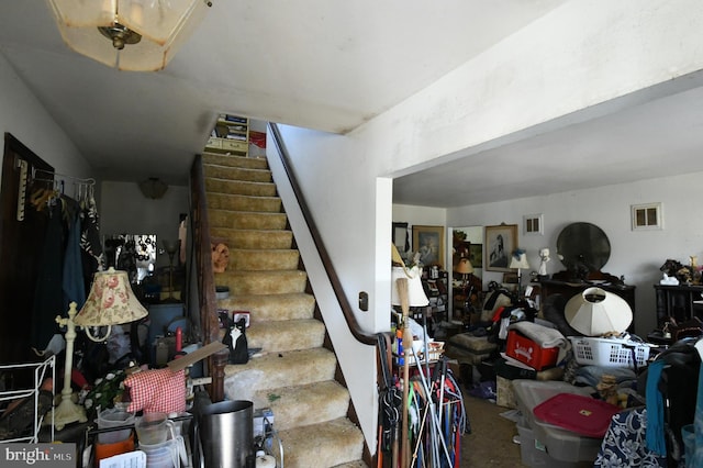 stairway with carpet floors