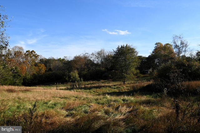 view of local wilderness featuring a rural view