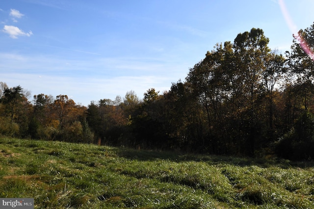 view of landscape