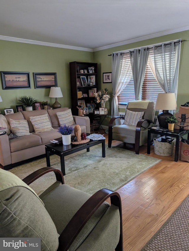 living room with crown molding and light hardwood / wood-style flooring