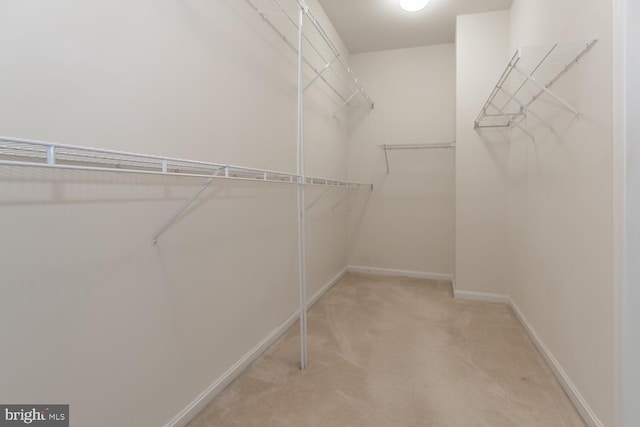 spacious closet with carpet floors