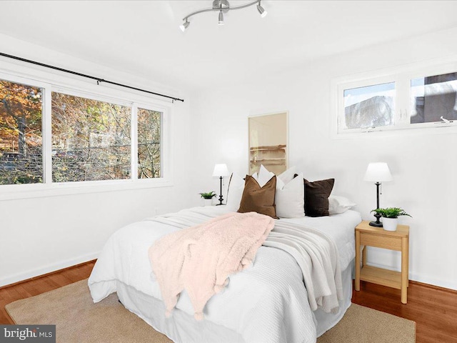 bedroom featuring wood-type flooring