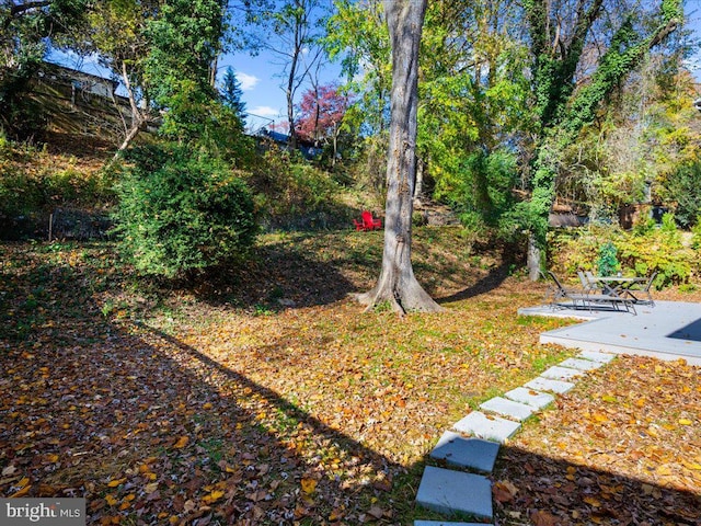 view of yard with a patio