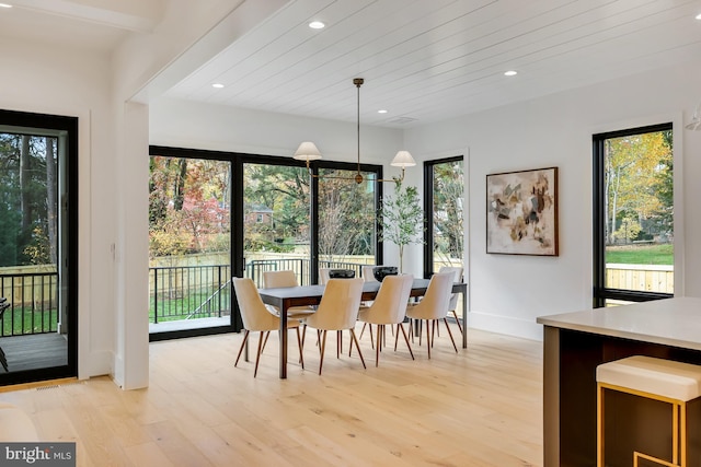 dining space featuring a healthy amount of sunlight and light hardwood / wood-style flooring