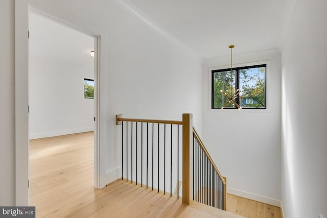 stairs with hardwood / wood-style floors