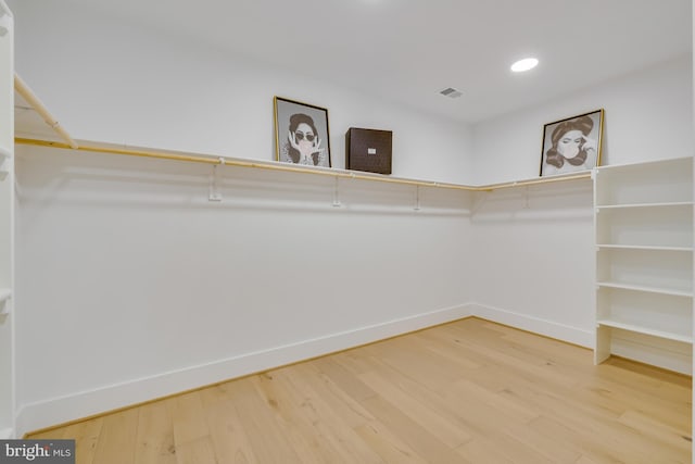 walk in closet with wood-type flooring