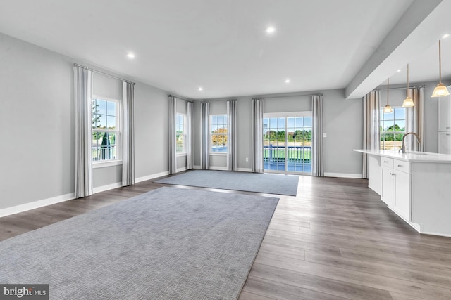 unfurnished living room featuring sink and dark wood-type flooring