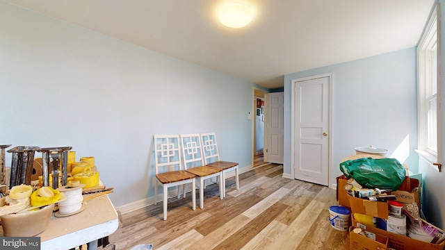 game room with light hardwood / wood-style flooring