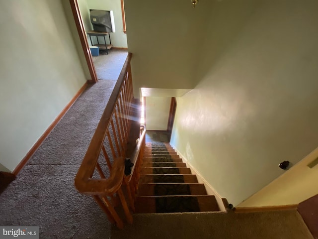 staircase with carpet floors