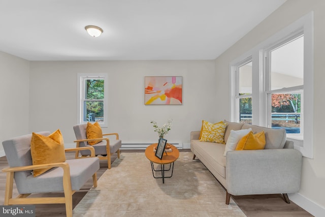 living room featuring hardwood / wood-style floors