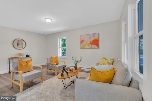 living room with light hardwood / wood-style flooring