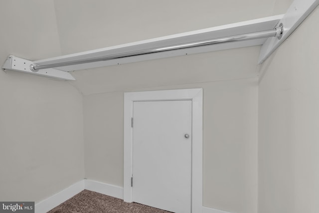 walk in closet with carpet flooring