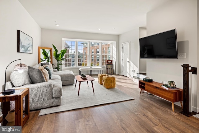 living room featuring wood-type flooring