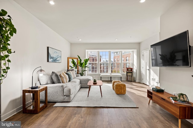 living room featuring hardwood / wood-style floors