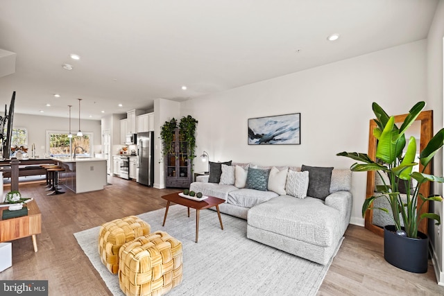 living room with light wood-type flooring and sink