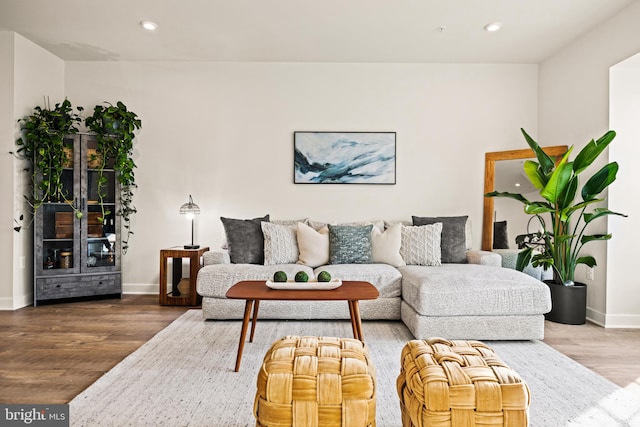 living room with wood-type flooring