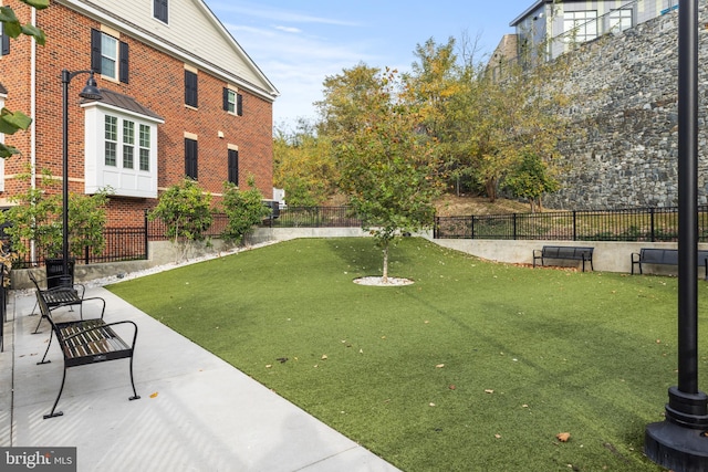 view of yard featuring a patio area