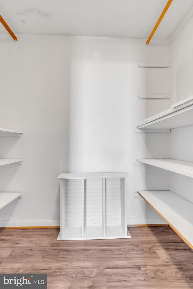 spacious closet with light hardwood / wood-style flooring