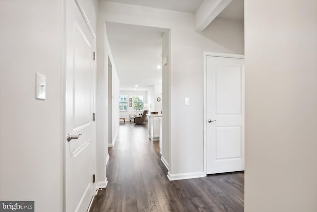 hall with dark hardwood / wood-style floors