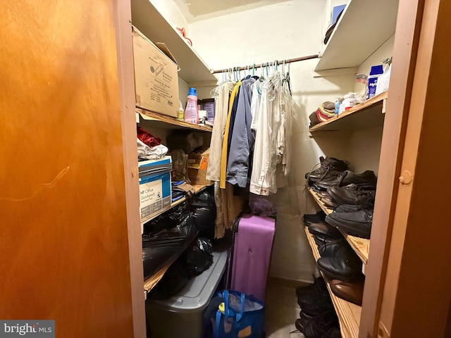 view of spacious closet