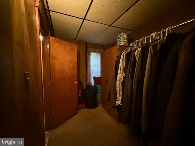 spacious closet with a drop ceiling and carpet floors