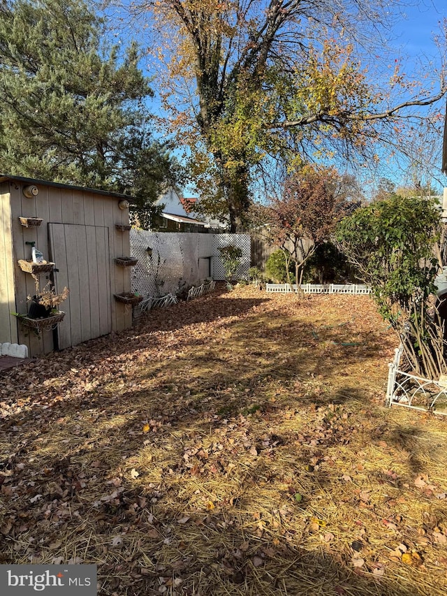 view of yard with a storage unit