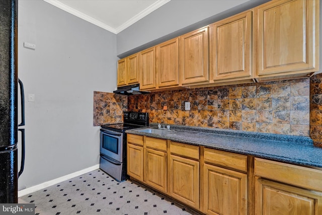 1311 N Luzerne Ave, Baltimore, MD 21213 - kitchen featuring ornamental molding, backsplash, stainless steel electric range, range hood, and a sink