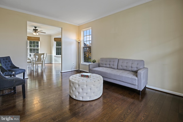 living room featuring crown molding, ceiling fan, and dark wood-type flooring