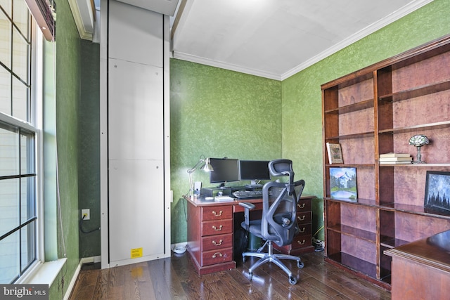 office area featuring dark hardwood / wood-style floors, plenty of natural light, and crown molding