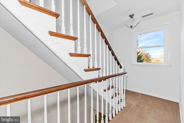 stairway with carpet