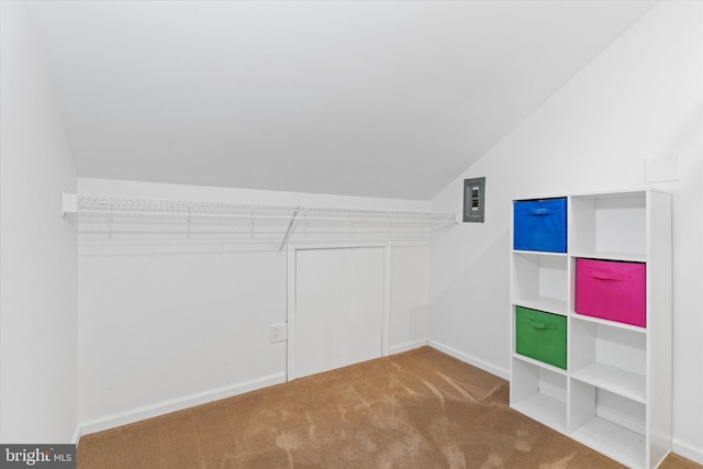 walk in closet with lofted ceiling and carpet floors