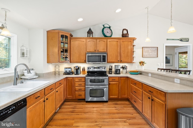 kitchen featuring vaulted ceiling, stainless steel appliances, sink, and a wealth of natural light