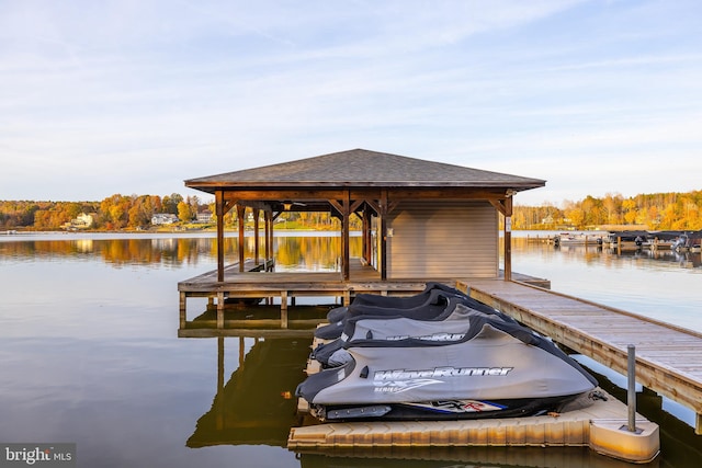 dock area with a water view