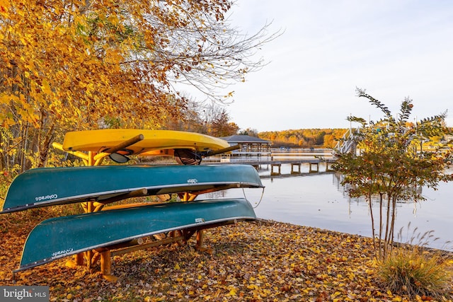 dock area featuring a water view