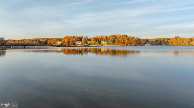 property view of water