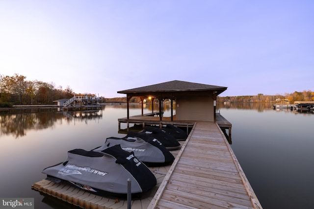 dock area with a water view