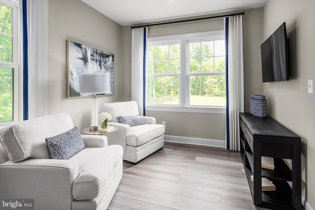 living area featuring light hardwood / wood-style floors and a wealth of natural light