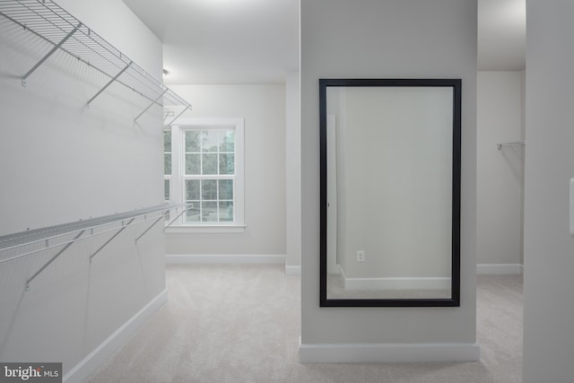 walk in closet featuring light carpet