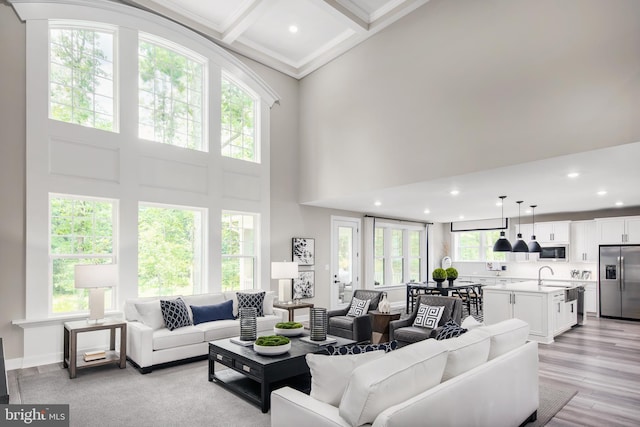 living room featuring sink, a high ceiling, light wood-type flooring, and a healthy amount of sunlight