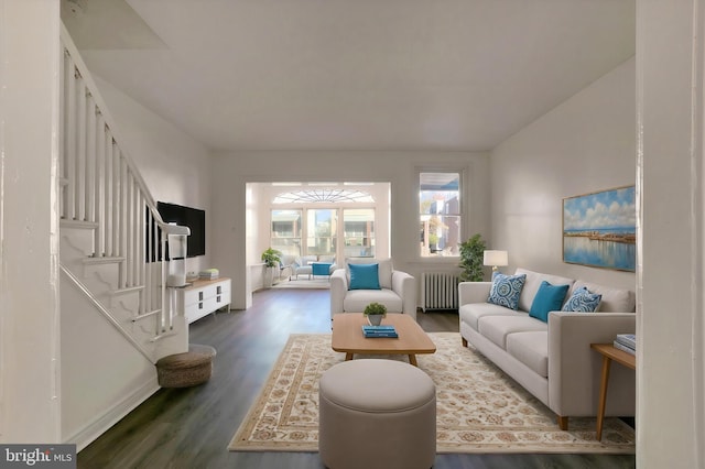 living room featuring dark hardwood / wood-style flooring and radiator