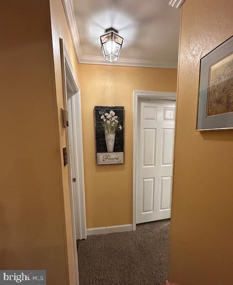 hall with ornamental molding and dark colored carpet