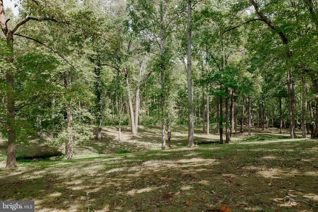 view of landscape