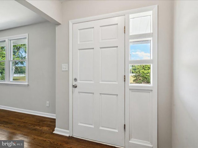 entrance foyer with a wealth of natural light and dark hardwood / wood-style flooring