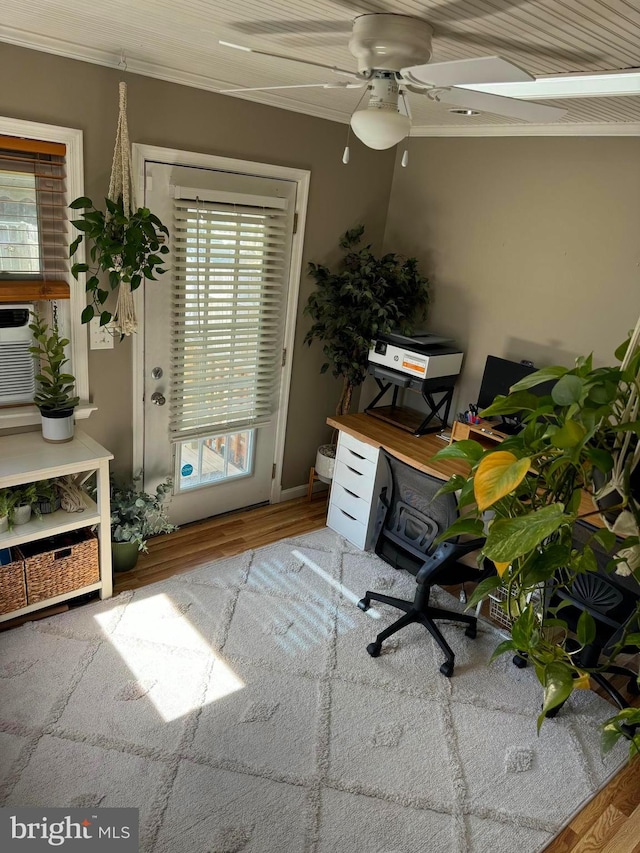 unfurnished office with crown molding, wood-type flooring, and ceiling fan